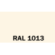 1.RAL 1013