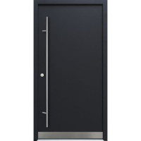 Ocelové/hliníkové domovní dveře DS92 - Motiv DS07