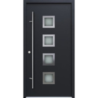 Ocelové/hliníkové domovní dveře DS92 - Motiv DS13